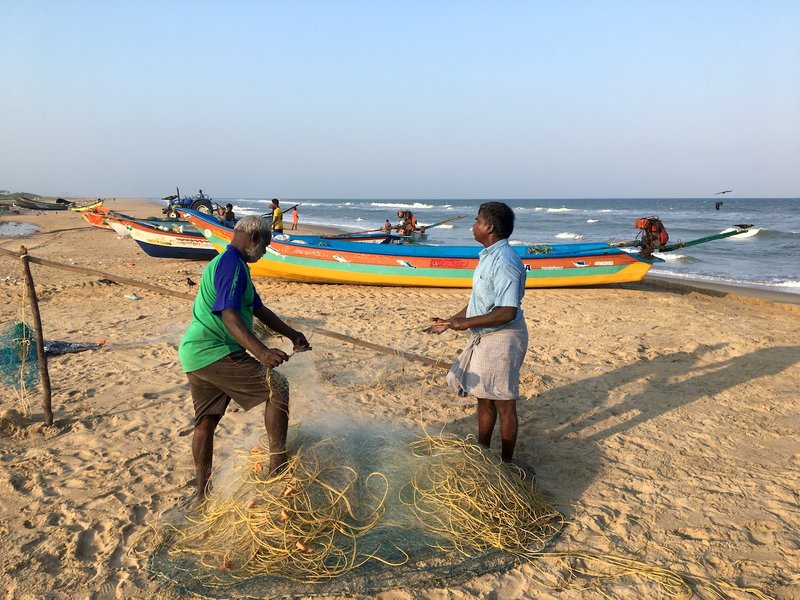 Cai shen fishing demo in India